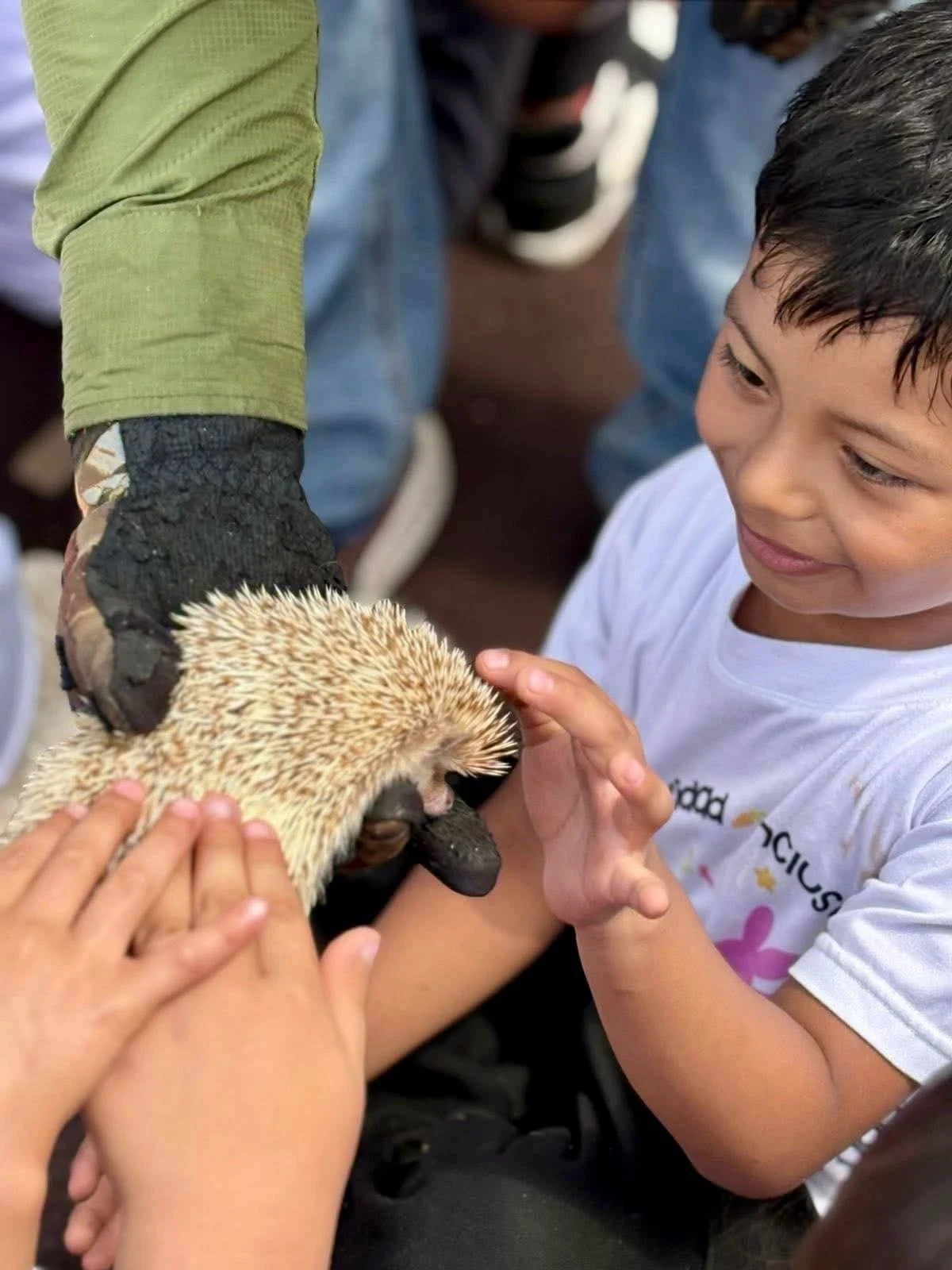 Niño de Kiddies Club sonriendo al tocar un erizo durante la visita de la granja móvil